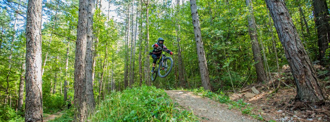自行车一个骑自行车的人被树林里的树叶包围的照片木头娱乐欧罗巴