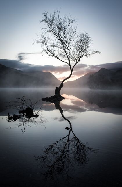河流落日时分 一棵无叶树倒映在群山环抱的湖面上的垂直镜头水倒影森林