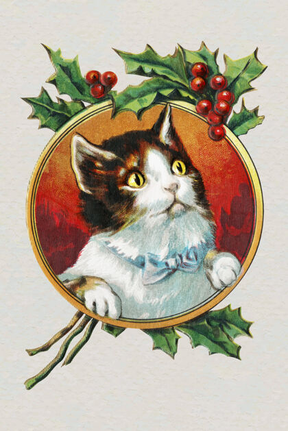 庆祝金框猫圣诞节季节冬青庆祝