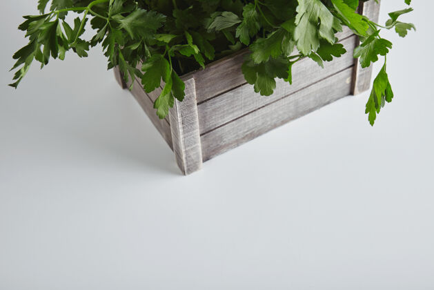 设备顶视图部分木箱与新鲜的绿色欧芹和香菜隔离在白色的桌子上农业季节性的闪亮