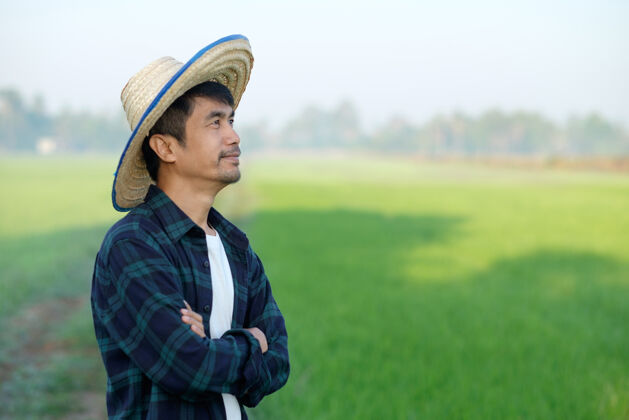 可愛一個戴著帽子的亞洲農民站在綠色稻田里 雙手交叉著擺姿勢收獲身體農場