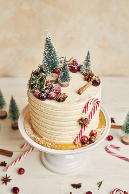 圣诞树用树和糖果棒装饰的圣诞蛋糕糖果浆果蛋糕