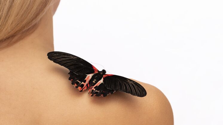 美丽肩上蝴蝶的特写镜头热带女人肩膀