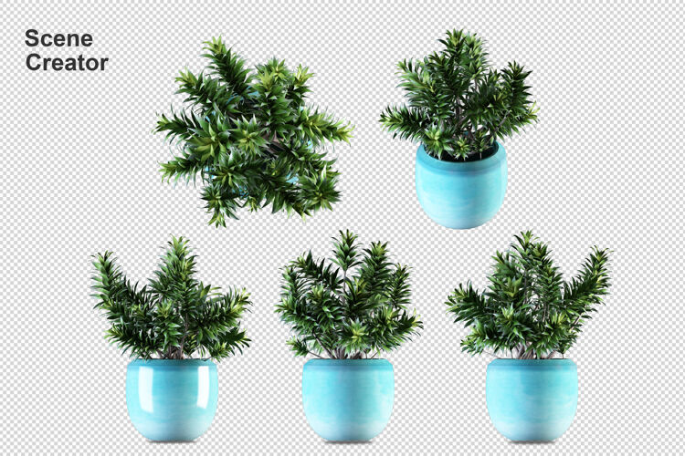 产品盆栽植物在3d渲染隔离花盆房子收藏