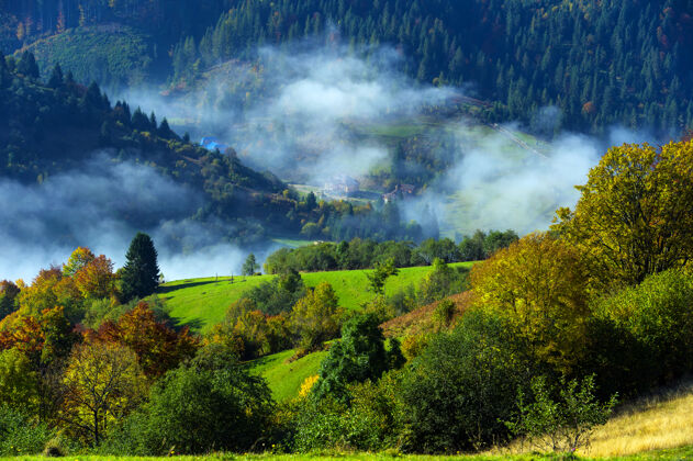薄雾的早晨美丽的秋天风景在山上 在森林里早晨树叶天空