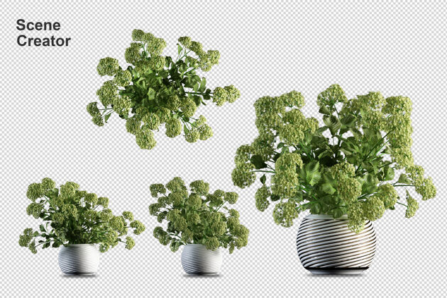 蔬菜盆栽花卉在3d渲染隔离场景花园植物
