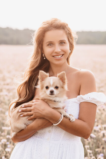 阳光年轻漂亮的女人带着可爱的吉娃娃狗在自然界的一片花丛中度过夏天女性春天乡村