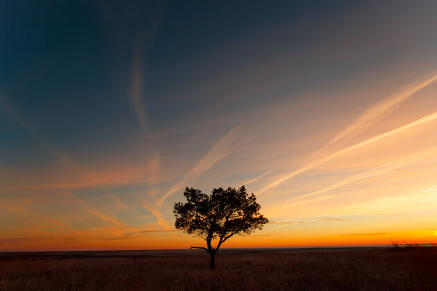 树树顶着夕阳的天空天空旅行蓝天