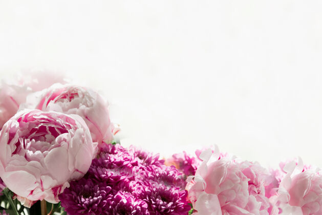 礼物白色背景上一束粉色牡丹和菊花的特写镜头概念背景 鲜花 节日开花花耀斑