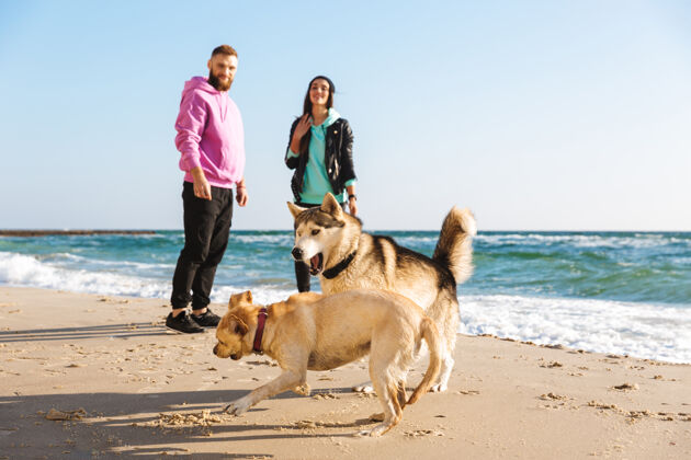 配对可爱的年轻夫妇在海滩上玩他们的狗浪漫约会夹克