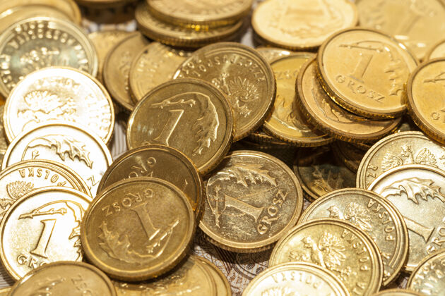 财富波兰货币特写照片-兹罗提 钞票和硬币四月100文件