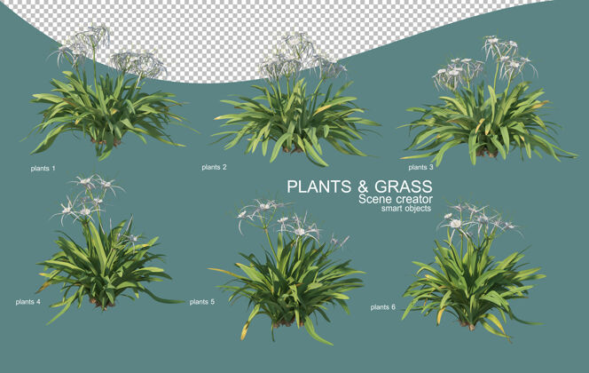 花园草和灌木排列的三维渲染植物装饰环境