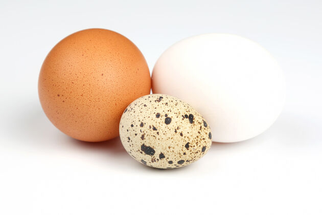 动物不同的鸡蛋上隔离熟食烹饪产品