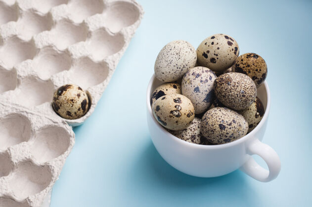 易碎鹌鹑蛋用杯子和纸板包装 蓝色背景复活节膳食饮食