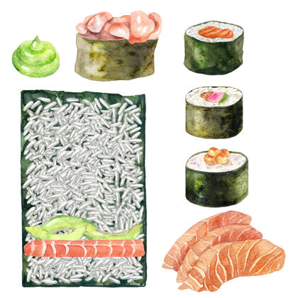 鲑鱼水彩生鱼片 maki 寿司和芥末野草芥末切片
