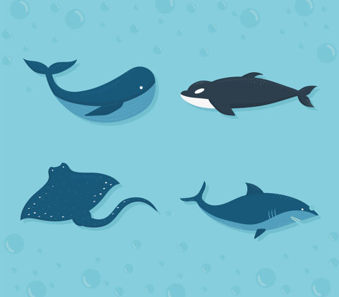 符号一套海洋生物图标插图设计海洋海洋生物集合