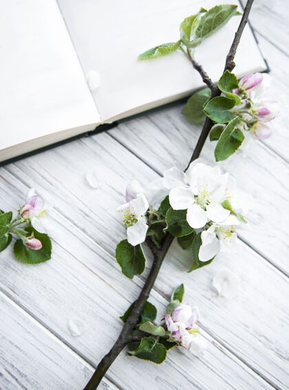 书打开白木桌上苹果树开花枝的书花天花瓣