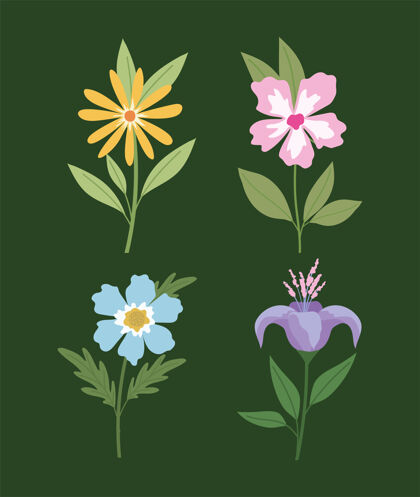 元素一套绿色背景上的花卉插画设计装饰叶植物