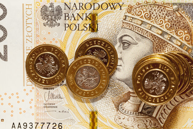 交换一张两百欧元的波兰钞票的特写镜头钞票上描绘了国王西吉斯蒙一世的老面目正面是钞票是金兹罗提繁荣硬币光泽
