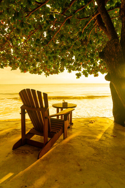 别墅空木椅与海滩海度假阳光阳光