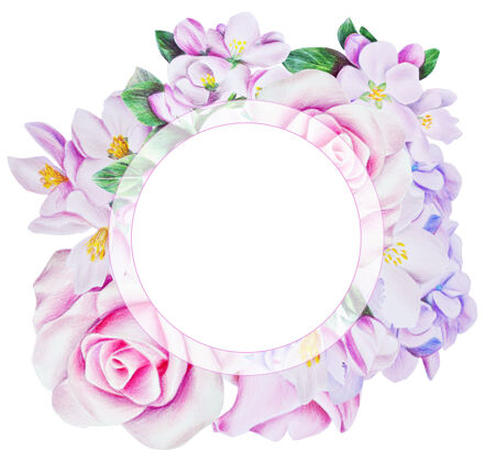 植物学柔美的弹簧架颜色.with玫瑰花 绣球花和白色的花卉.插图用铅笔和水彩画的植物花园素描