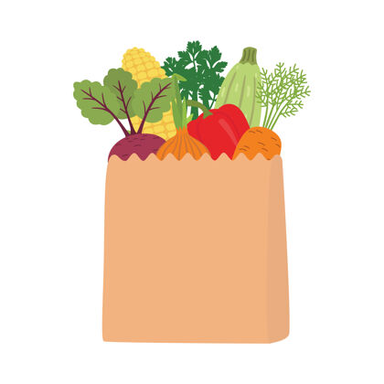 有机在一个装满新鲜食物的纸袋上蔬菜.概念饮食方面插图隔离在白色背景上饮食甜菜根叶子