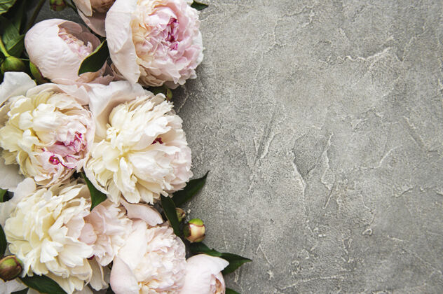 边清新的淡粉色牡丹花镶边 灰色水泥桌上有复制空间 平铺植物花瓣开花