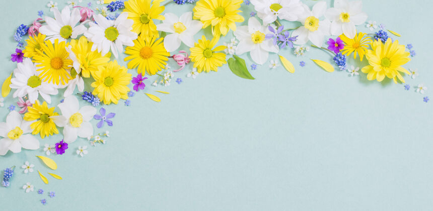 平躺蓝色纸背景上的美丽花朵浪漫紫罗兰周年纪念