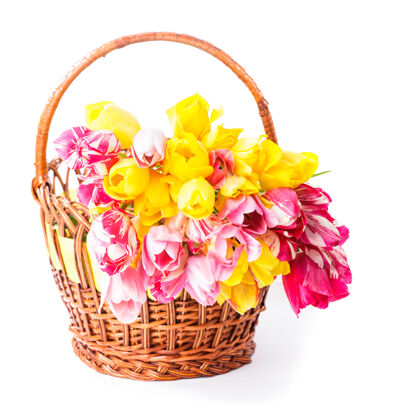 美丽彩色郁金香在白色的篮子里五颜六色花明亮
