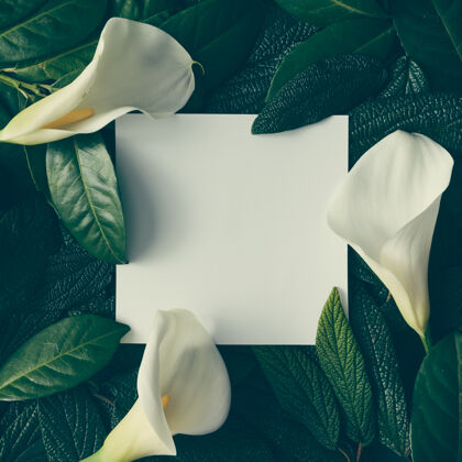框架用绿叶和白花做的创意布局 配上纸卡便笺树植物学植物