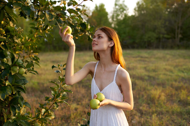 多汁穿着白裙子的快乐女人在草地上从树上摘苹果手食物饥饿