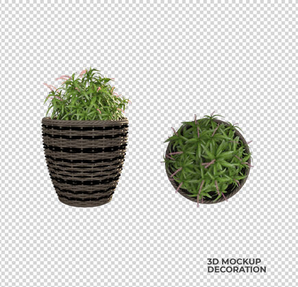 三维渲染盆栽装饰与室内设计叶盆栽植物植物