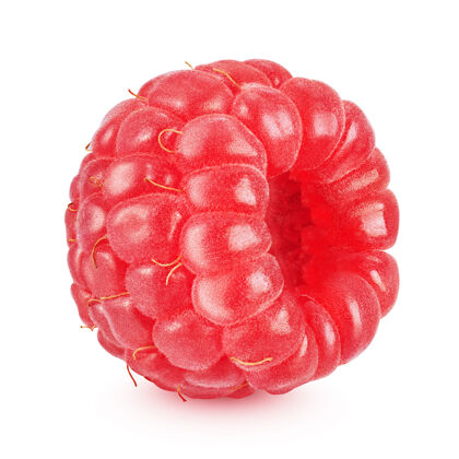 新鲜一个红色的树莓隔离在白色背景完整景深（所有细节聚焦）维生素剪辑路径覆盆子