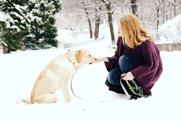宠物可爱的女人在雪地公园玩狗的户外肖像人动物人