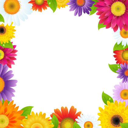 甘菊彩色格伯斯花框架与梯度网格插图花花瓣拼贴