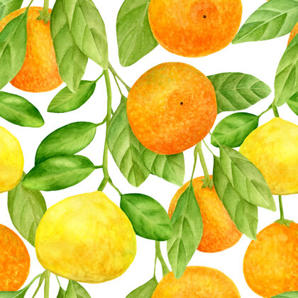 新鲜水彩柑橘无缝图案柑橘柑橘绘画
