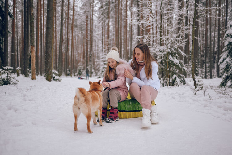 孩子快乐的妈妈和可爱的小女孩穿着粉色温暖的外套 在户外的雪白寒冷的森林里 玩着充气雪地管和红色的石坝犬雪花童话骑马