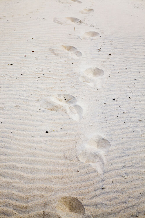 乐趣沙滩上的海沙那留下痕迹的人海岸快乐宁静