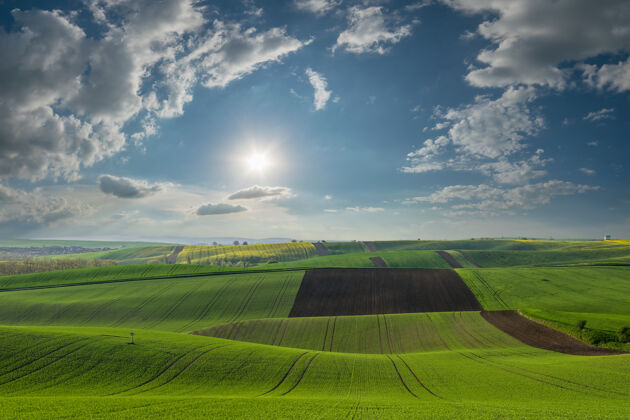 季节春天的农业景观 山上有大麦田 农田草地户外农田