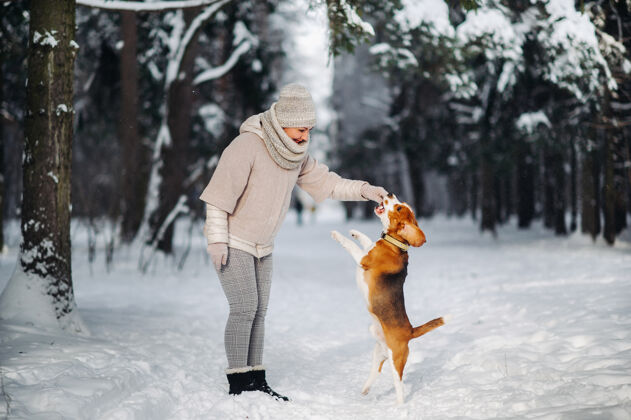 狗冬天带着狗散步的女人森林女主人在雪林里玩狗游戏训练健康女人