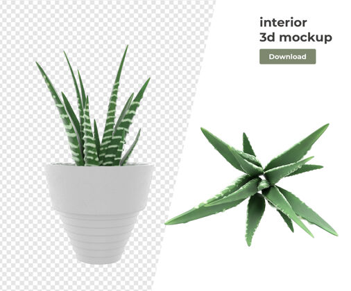 场景创作者各种植物装饰3d渲染隔离装饰植物花盆