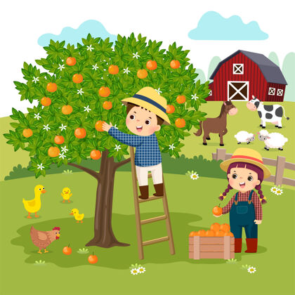 有机小男孩和小女孩在农场摘橘子的卡通男孩水果户外