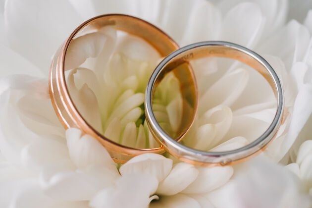 珠宝结婚戒指特写在花瓣的白色背景上金属象征婚礼