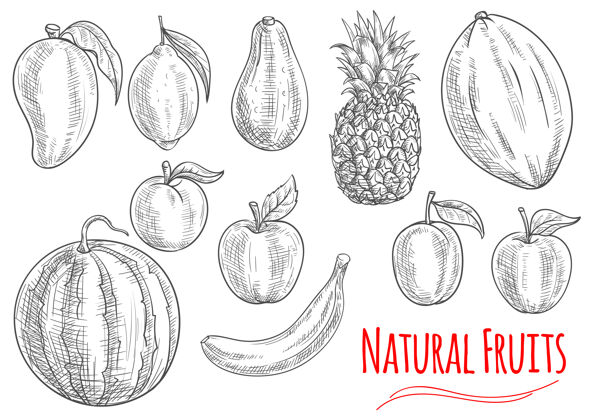 芒果素描新鲜水果隔离在白色水果香蕉西瓜