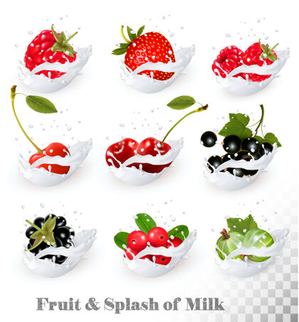 草莓牛奶里有很多水果和浆果飞溅覆盆子 黑莓 草莓 樱桃 黑醋栗 蓝莓植物成熟樱桃