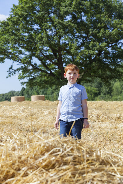 打包一个红头发的男孩走在麦田里 麦茬和麦秆堆在地里站宝贝干草
