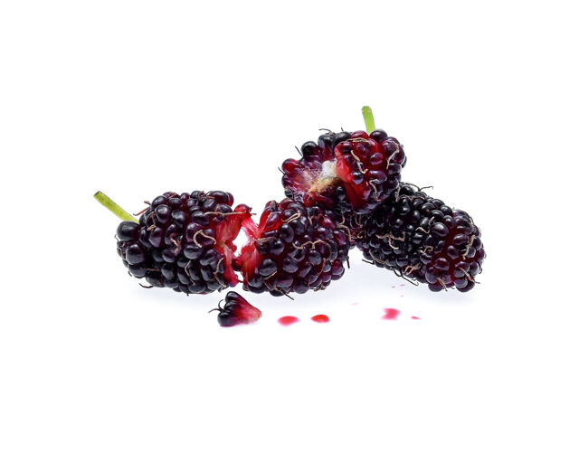 生的桑葚孤立在白色浆果白色甜味