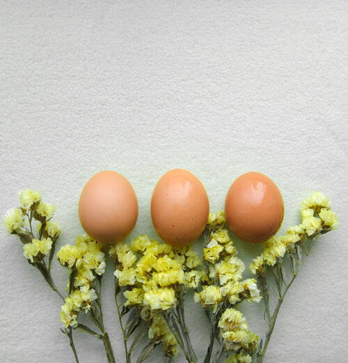 传统复活节彩蛋和黄花黄色开花春天