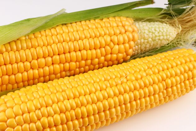 玉米白色表面上的玉米特写玉米棒玉米食物