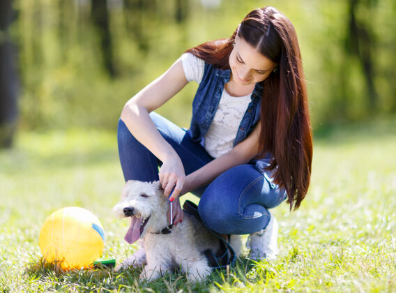友谊美丽的女人在户外梳理她的狗的画像善良一起玩耍